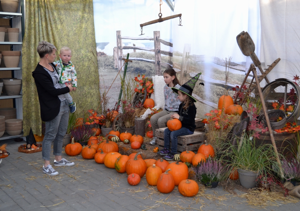 Dýně v AZ GARDEN 2018 neděle.jpg