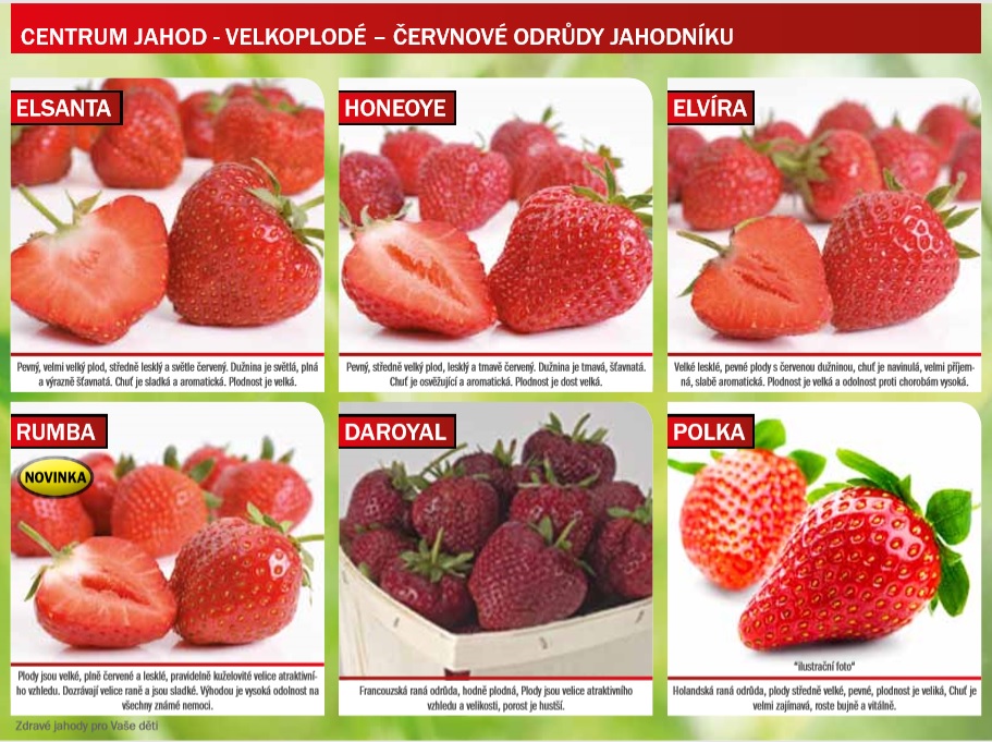 Jahody 2020 A1.jpg